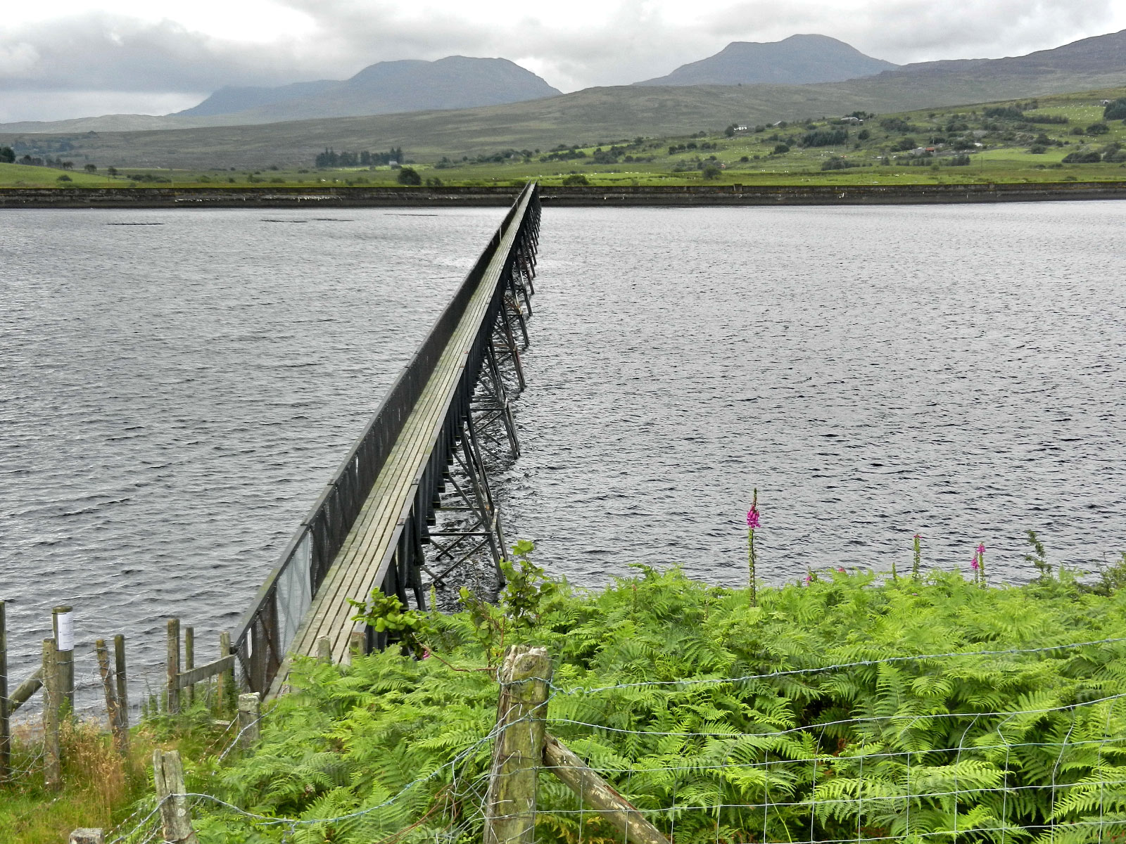 Trawsfynydd